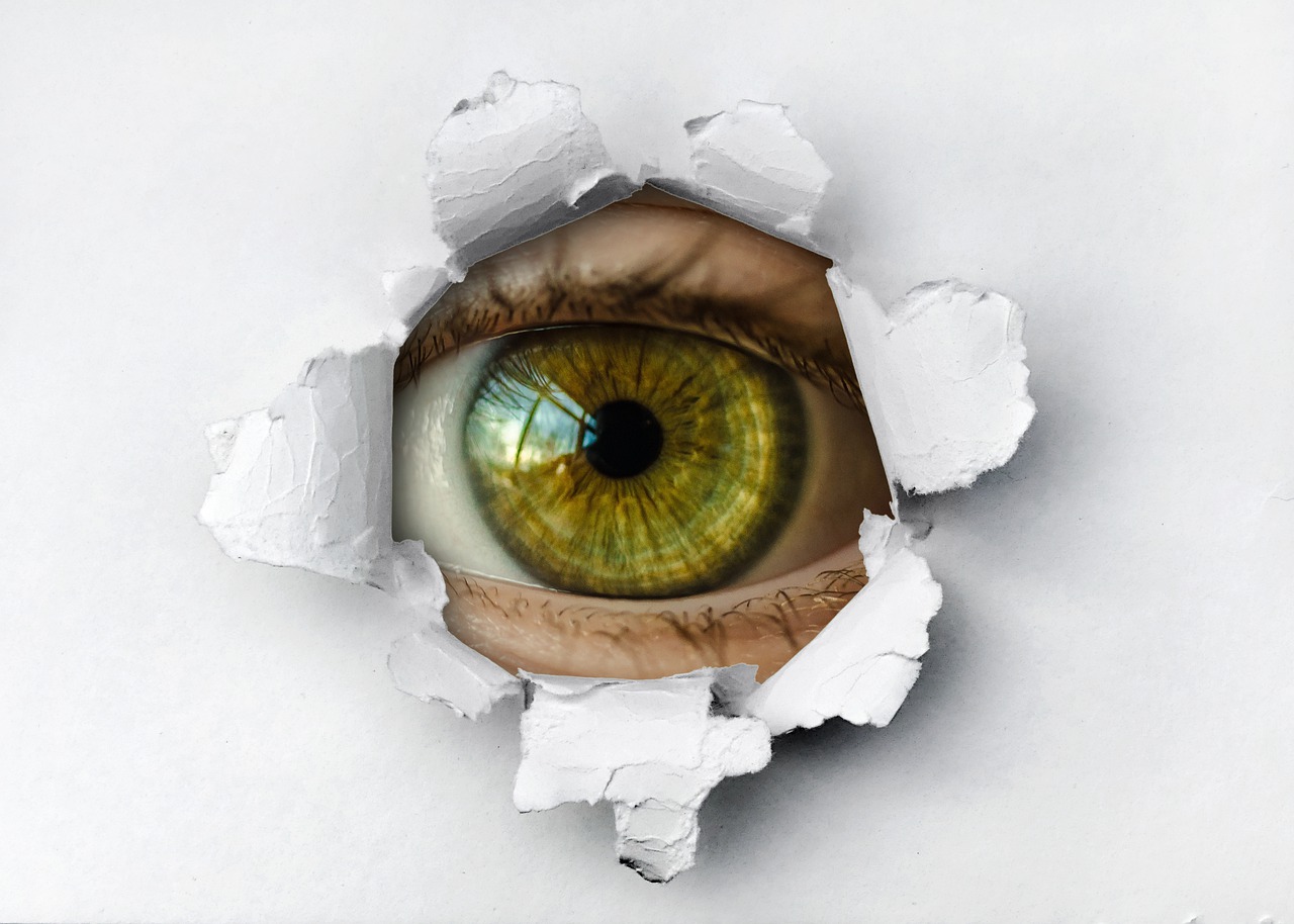 Vulnerable WordPress Plugins