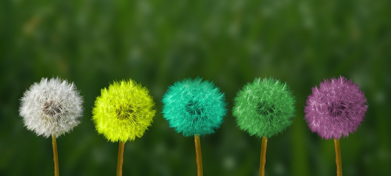 Best WordPress plugins to add background images
