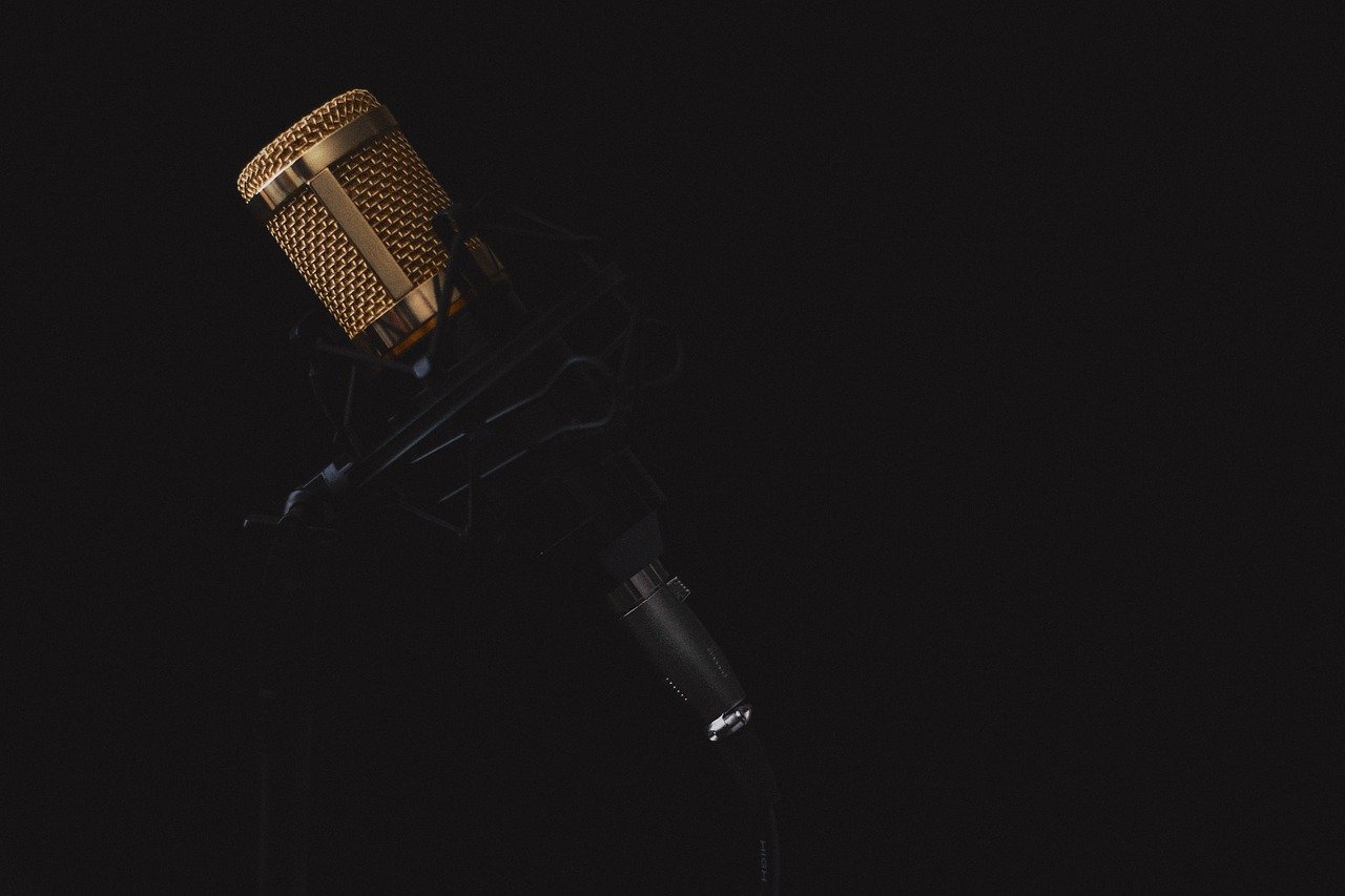 Best WP audio plugins